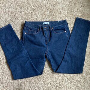 Loft Modern Skinny Jeans Size 8 Summer Casual Daily Wear